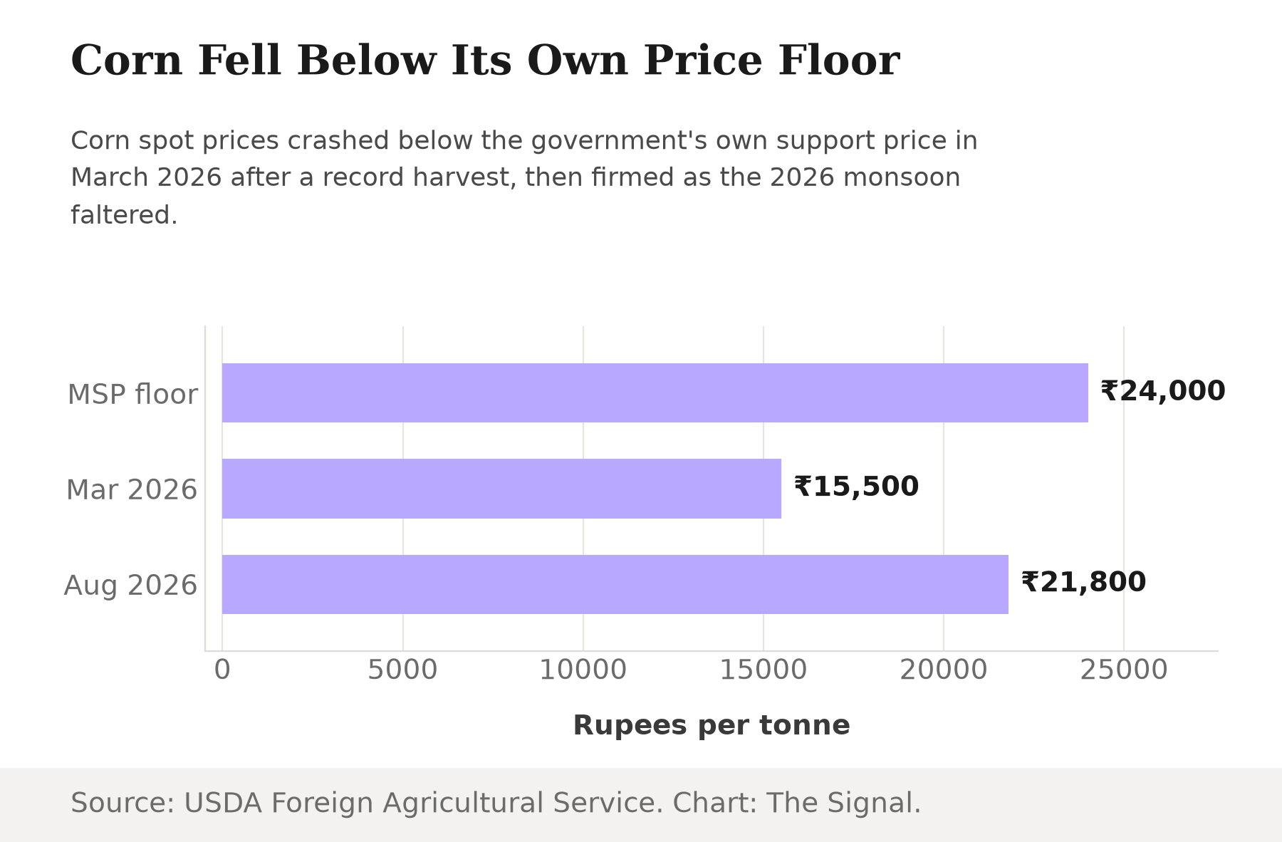Bar chart showing India's corn minimum support price at Rs 24,000 a tonne, against a March 2026 low of Rs 15,500 and an August 2026 average of Rs 21,800 per tonne.