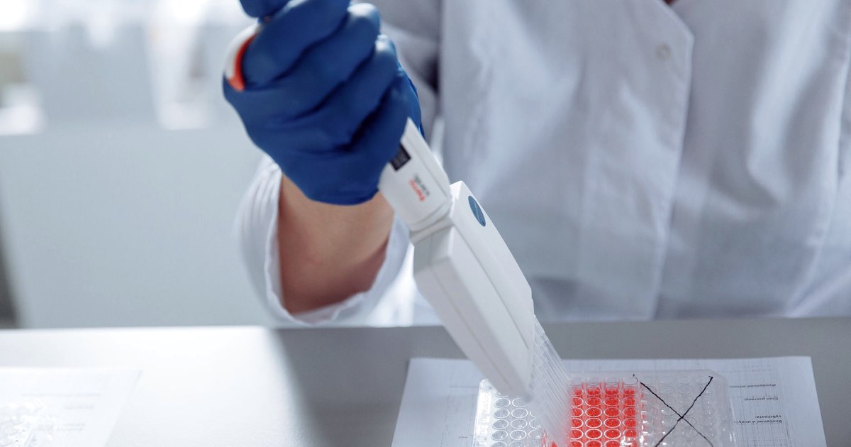 A gloved lab worker in a white coat using a multichannel pipette to load red liquid into a 96-well plate on a lab bench