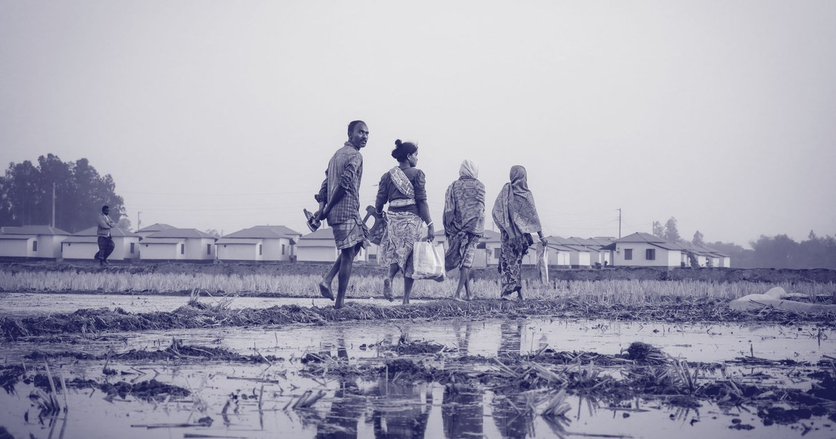 Four villagers walk along a flooded paddy field at dusk in rural Bangladesh, with a row of new houses behind them