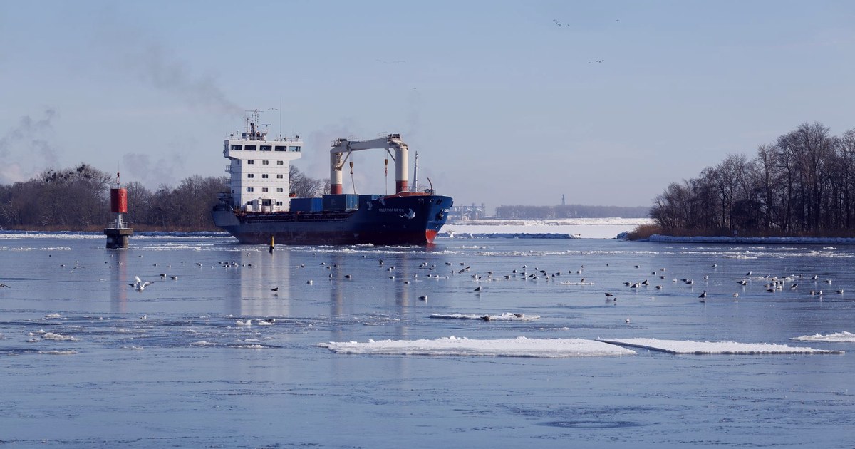 A cargo ship carrying containers navigates ice-covered waters near Svetly, Russia, with sea ice and birds in the foreground