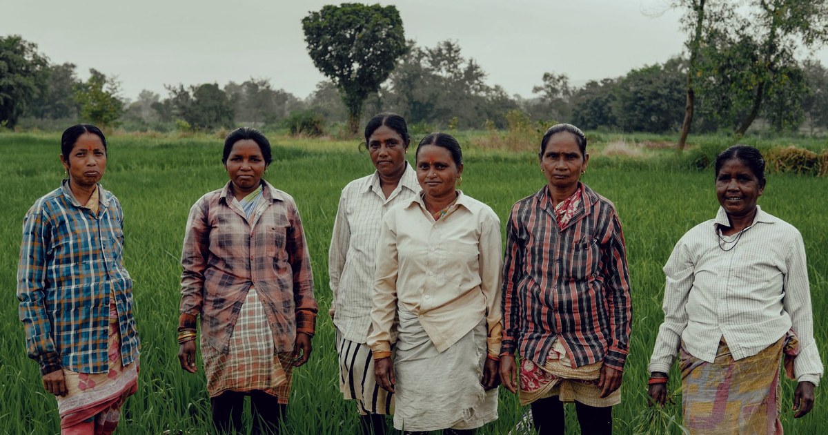 Six rural Indian women farm workers standing together in a green rice field, looking at the camera
