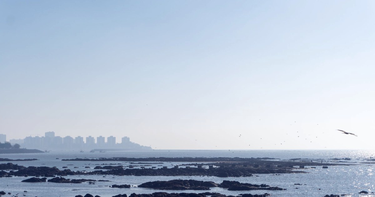The Mumbai coastline at low tide, rocky shore in the foreground and the hazy city skyline visible across the water