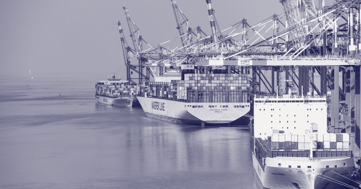 Large container ships moored beside blue and orange quayside cranes at a container terminal