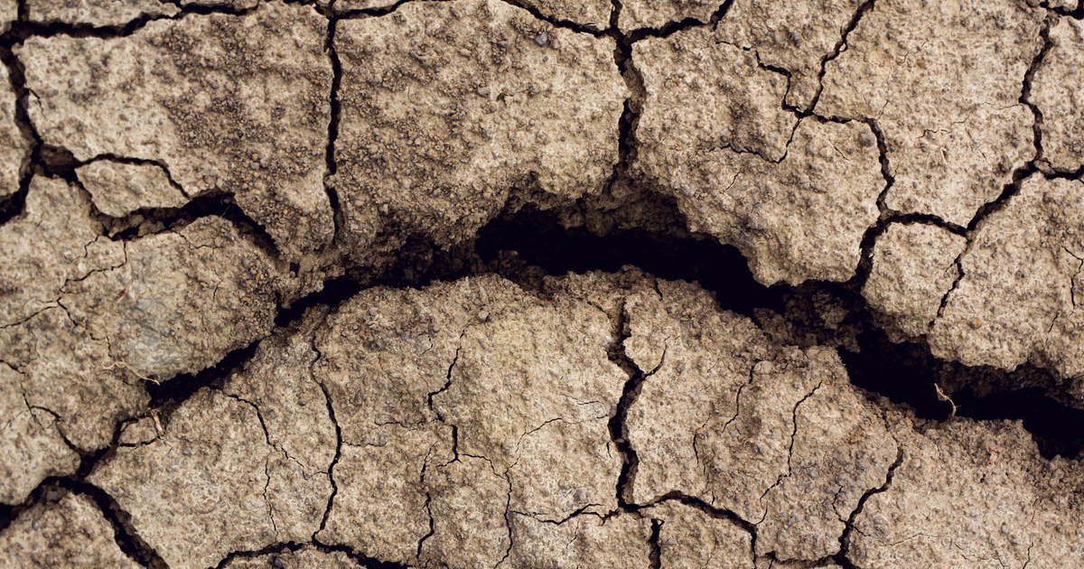 Deeply cracked, parched soil with a wide dark fissure running across sun-baked ground